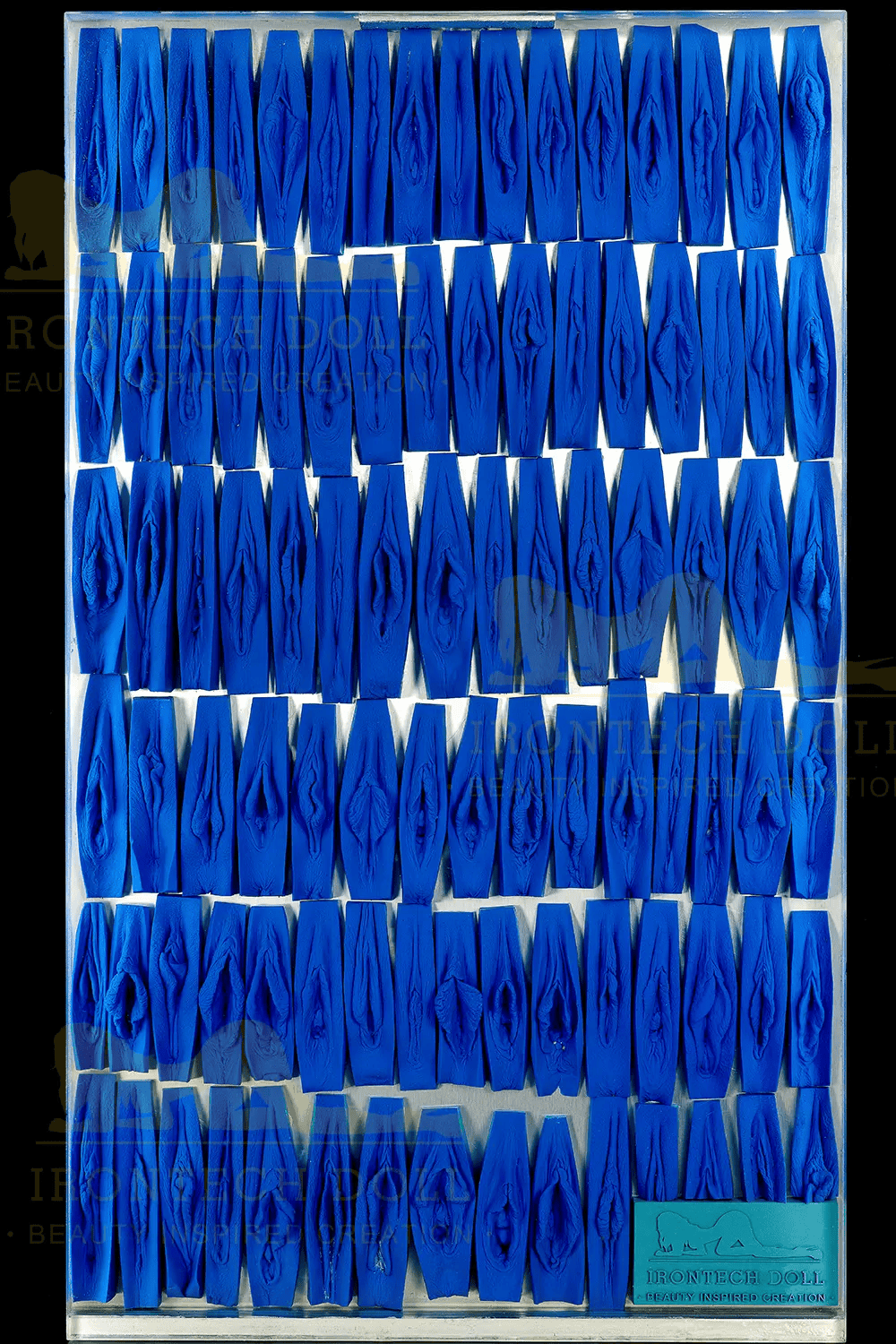 Moules vaginal sex doll